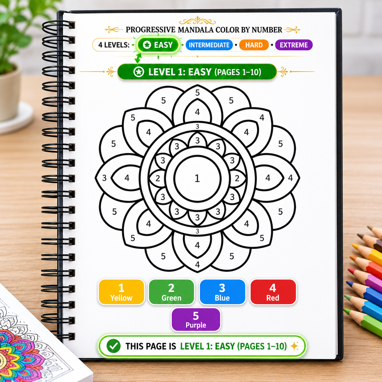 Progreesive Complexity Color by Number Mandala