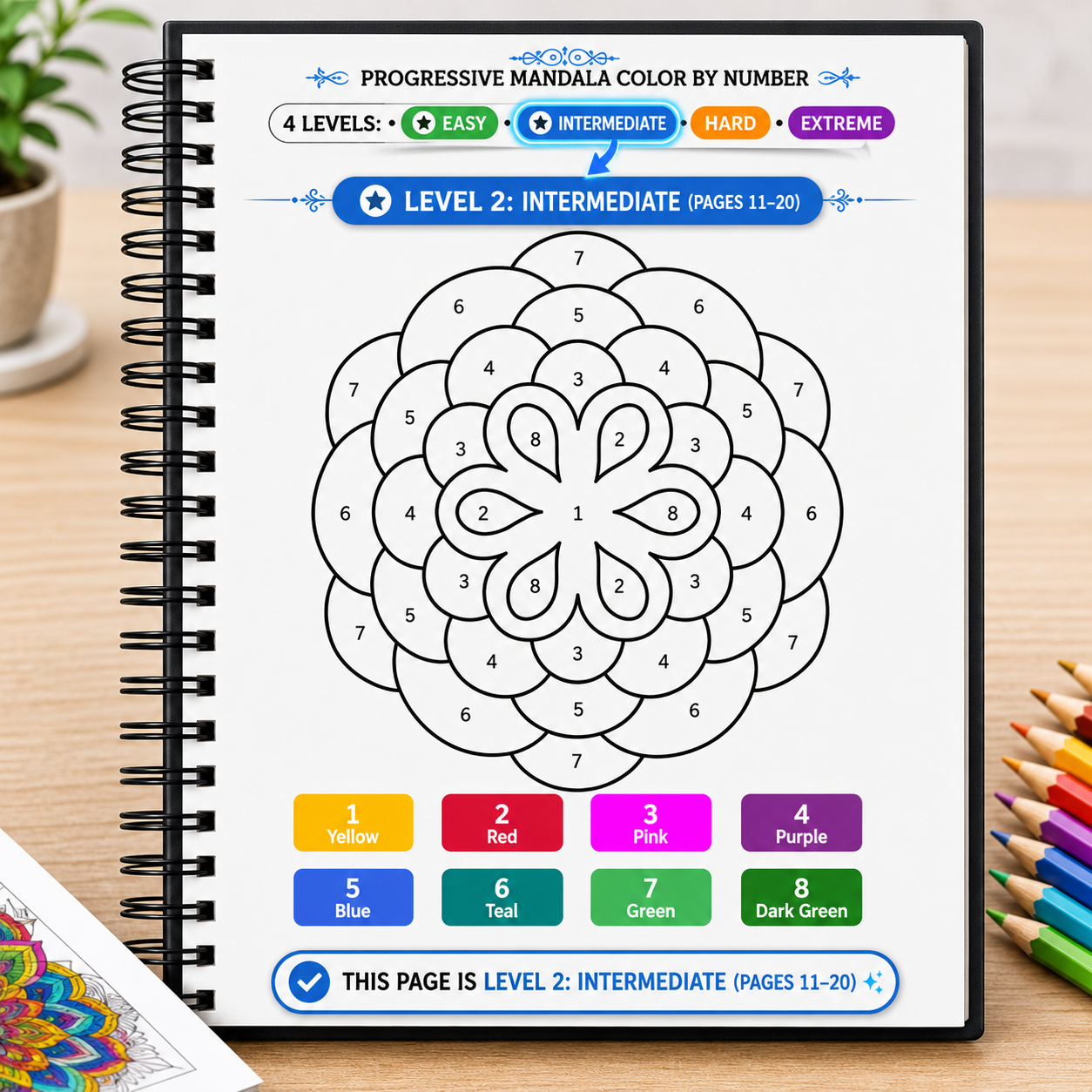 Progreesive Complexity Color by Number Mandala