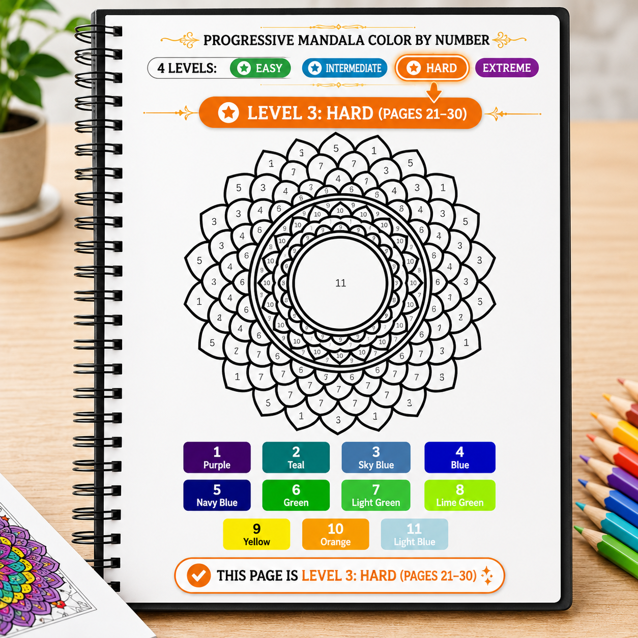 Progreesive Complexity Color by Number Mandala