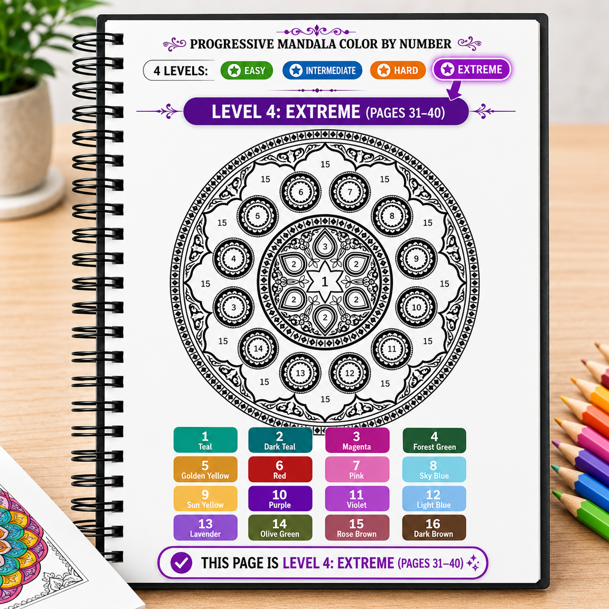 Progreesive Complexity Color by Number Mandala