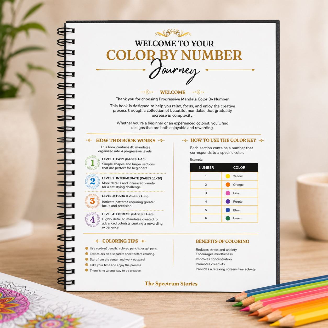 Progreesive Complexity Color by Number Mandala