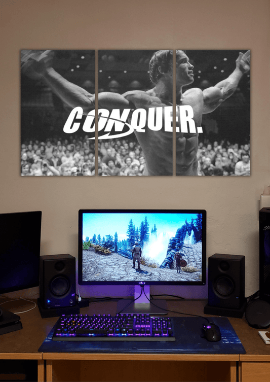 Arnold Schwarzenegger | Fitness Legend | Split Poster | 3 Piece Set - The Spectrum Stories