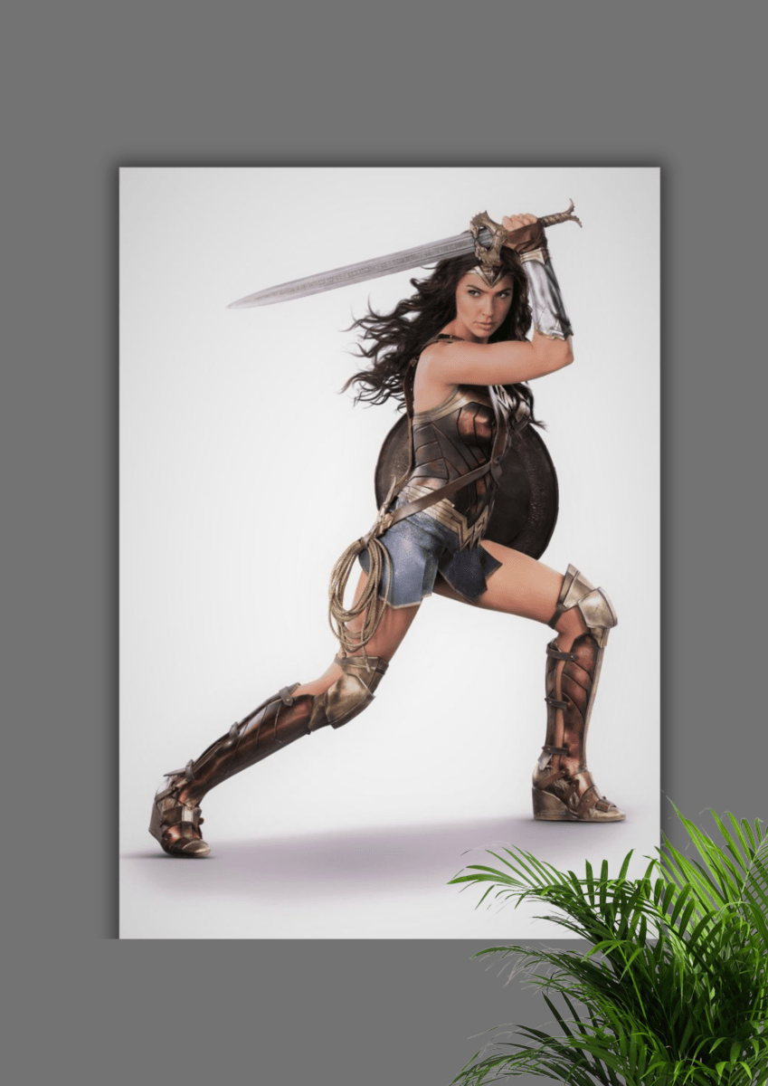 Wonder Women – Premium Poster - The Spectrum Stories